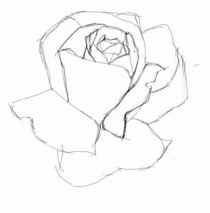 cómo dibujar una rosa paso 3