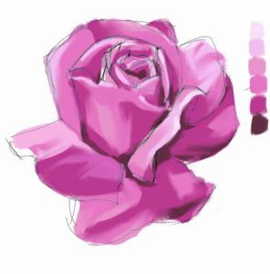 cómo dibujar una rosa paso 4