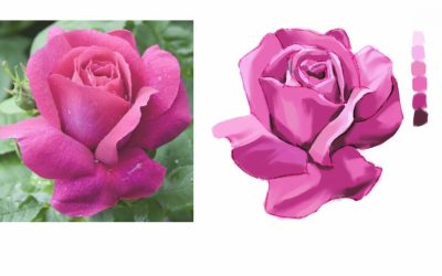 Cómo dibujar una rosa abierta en 6 tonos paso a paso